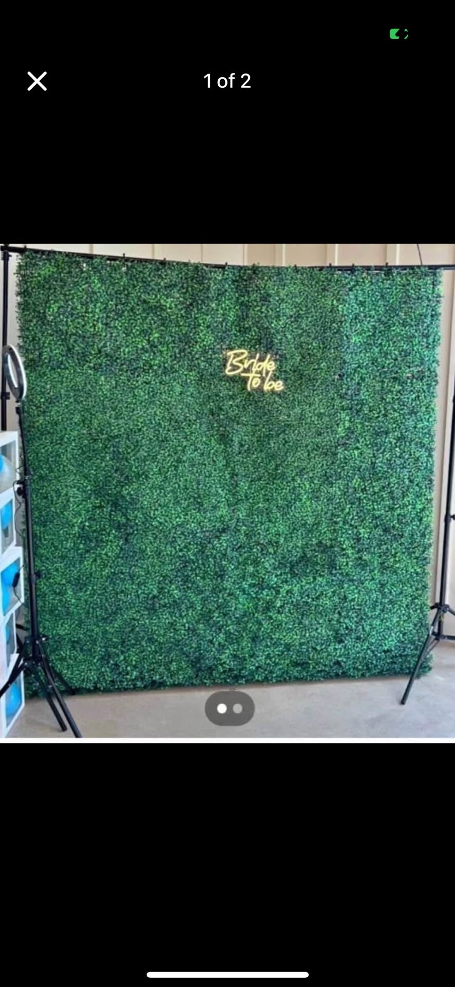 Greenery wall decor
