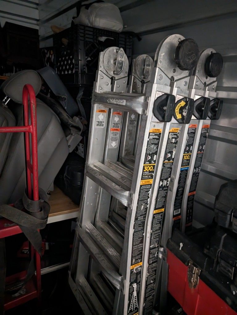 2 Gorilla Ladders 