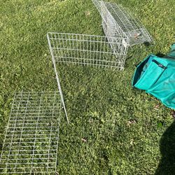 Midwest Guinea Pig Cage