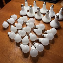 Lights Bulbs 