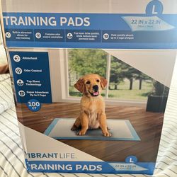 Vibrant Life Training Pads  Large 22inx22in