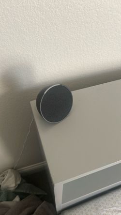 alexa