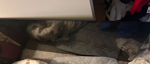 Sony 55 inch for parts