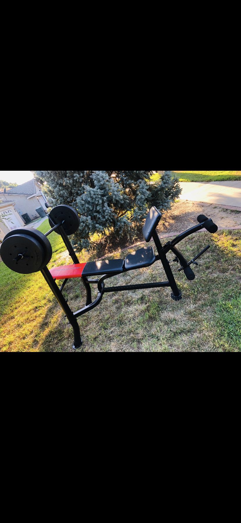 Weight Bench w 80 pounds of weight