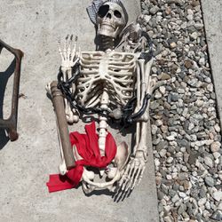 Halloween Prop Skeleton Pirate Yard Decor