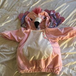 Costume Infant 12/18 Months