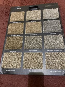 Carpet All