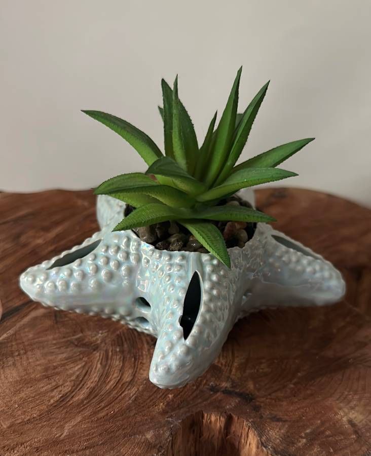 Artificial Succulent Starfish Planter Arrangement Decor