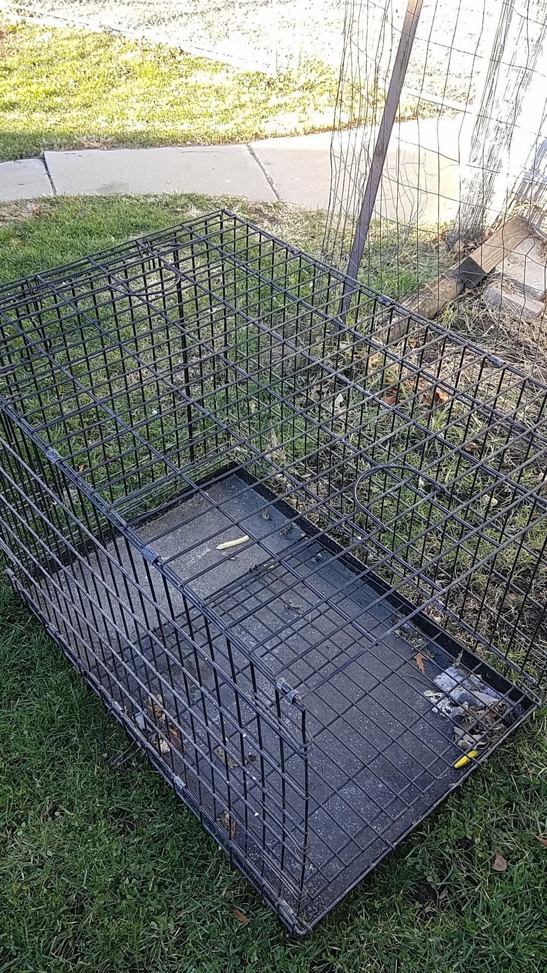 Dog kennel