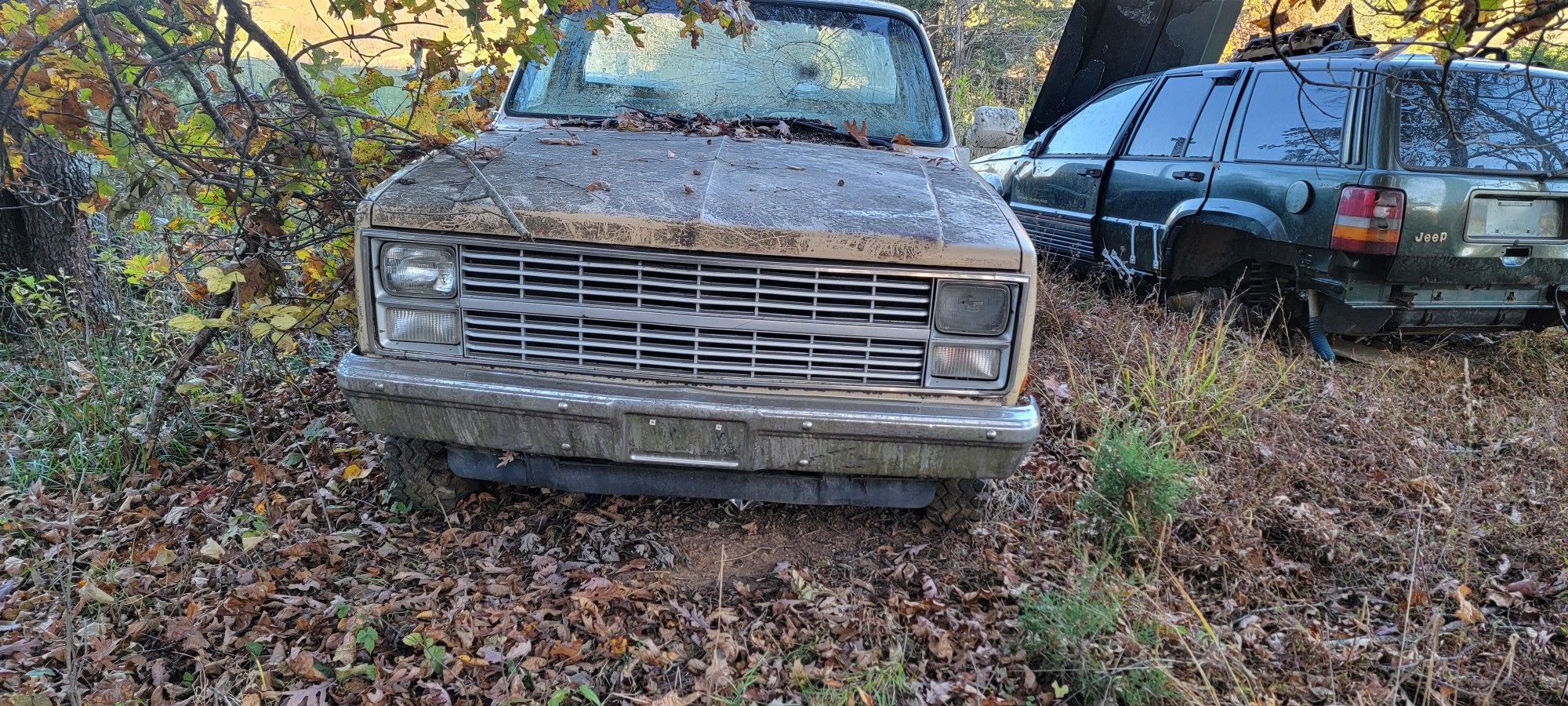 1987 Chevrolet 3/4 Ton Chassis-Cabs