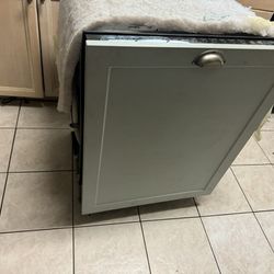 Scrap Dishwasher
