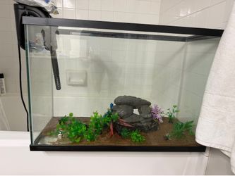 29 gallon fish tank fully prepared