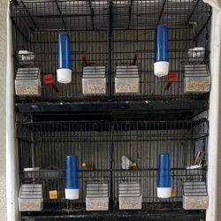 Cage for breeding canaries or finches