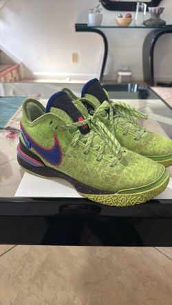 Nike LeBron James basketball shoes