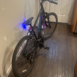 Road Bike Great