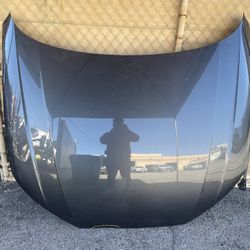 2018-2024 AUDI A5 FRONT HOOD BONNET OEM 