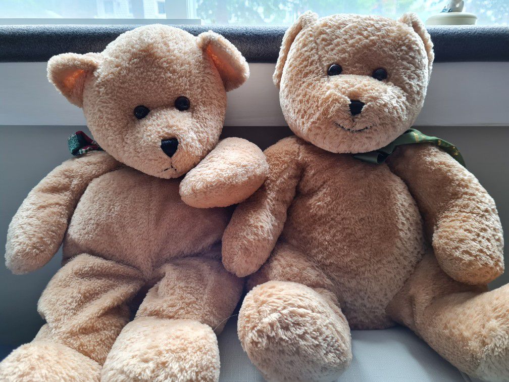 Two Teddy Bears 