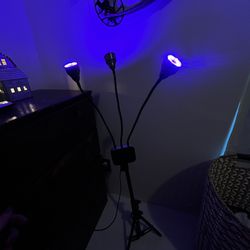 lamp 