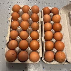 Fresh Pasture Chicken Eggs 