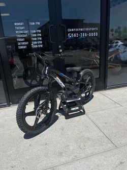 Stacyc 20e drive