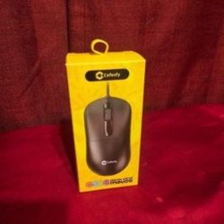 Computer Mouse