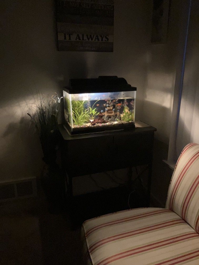 Fish Tank And Stand