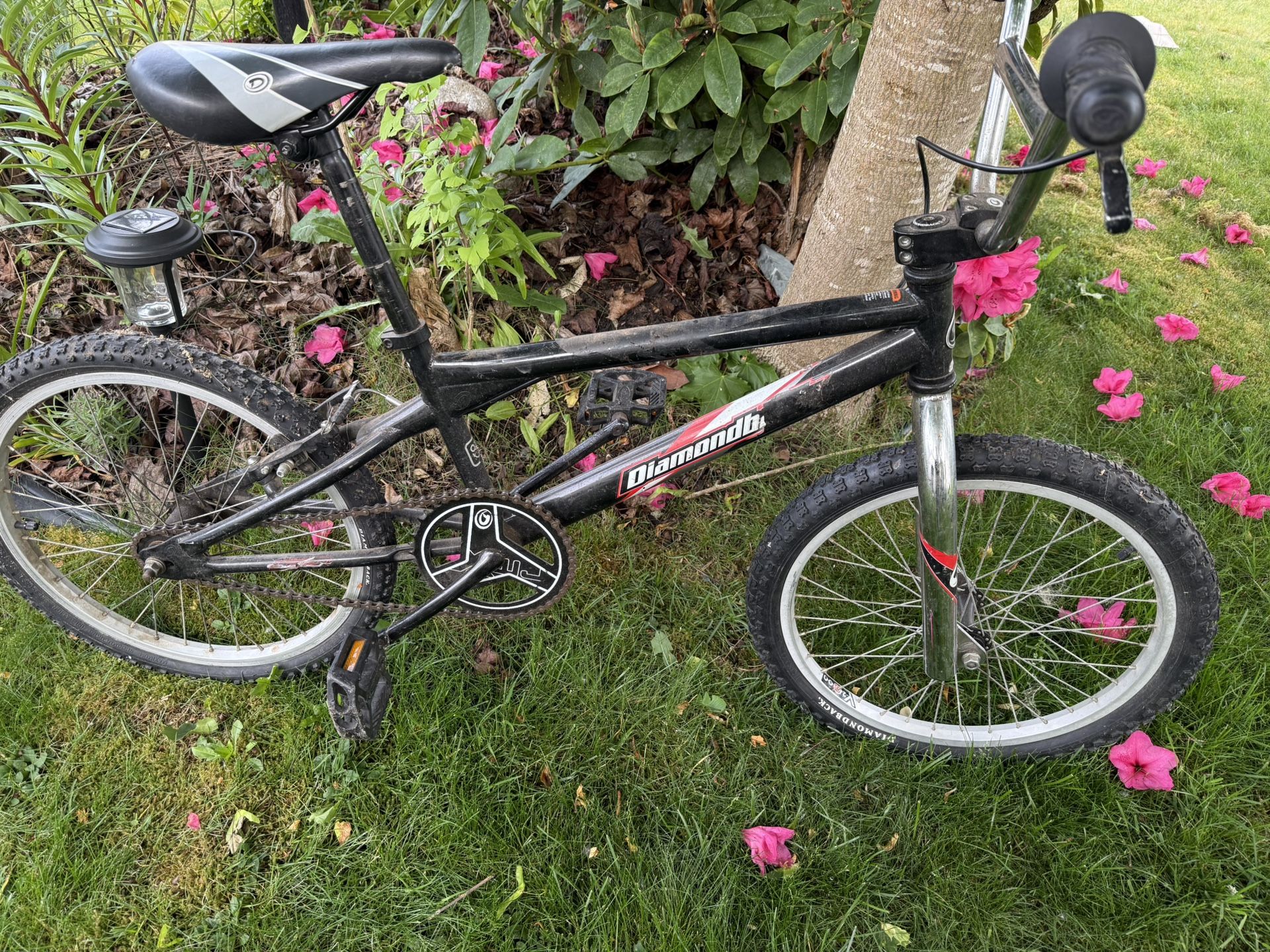 Older Style Mongoose Bmx Bike