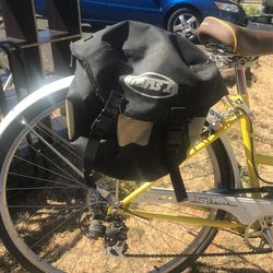 Schwinn jenny store bike