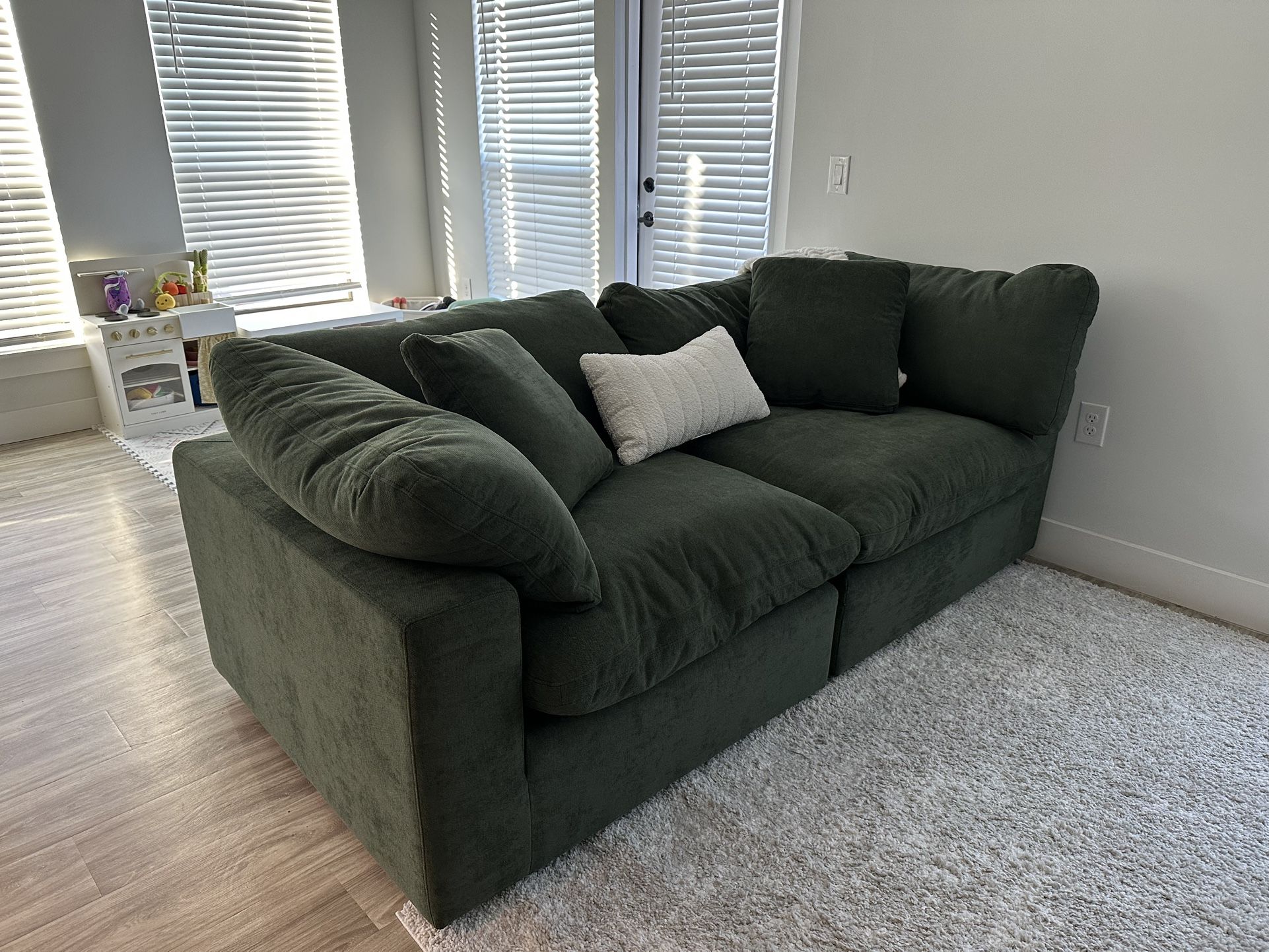 Cloud Couch Loveseat - The Perfect Color Green