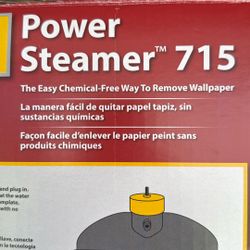 Wagner Power steamer 715