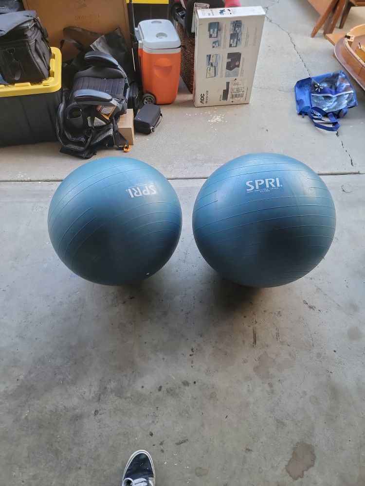 55CM Exercise Balls