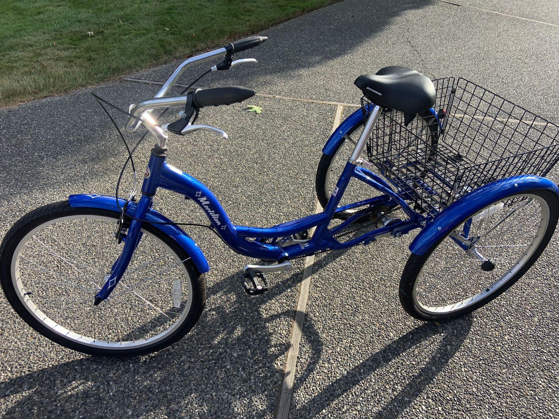 Schwinn Adult Tricycle 