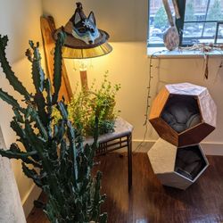 Pair of Dodecahedron Cat Caves