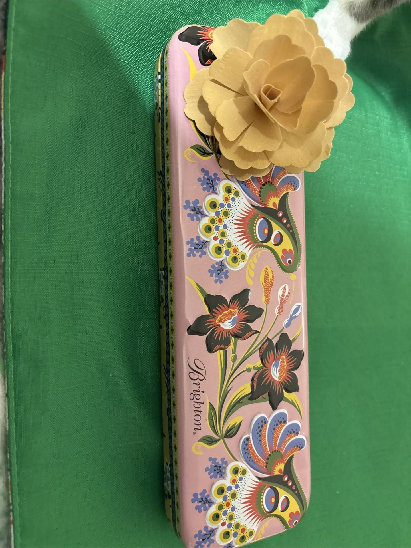 NIB Brighton Watch