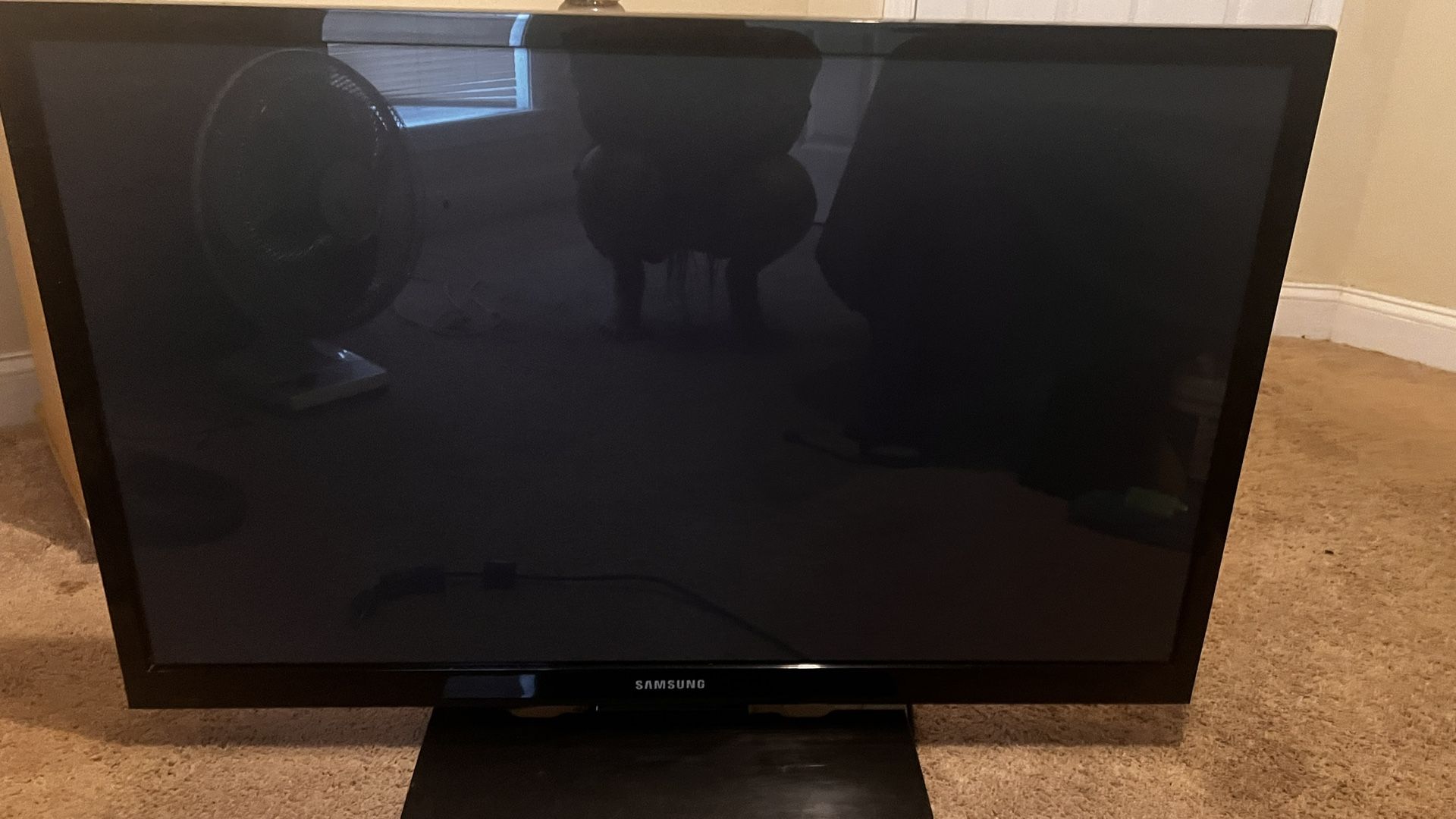 43 Inch Samsung Tv