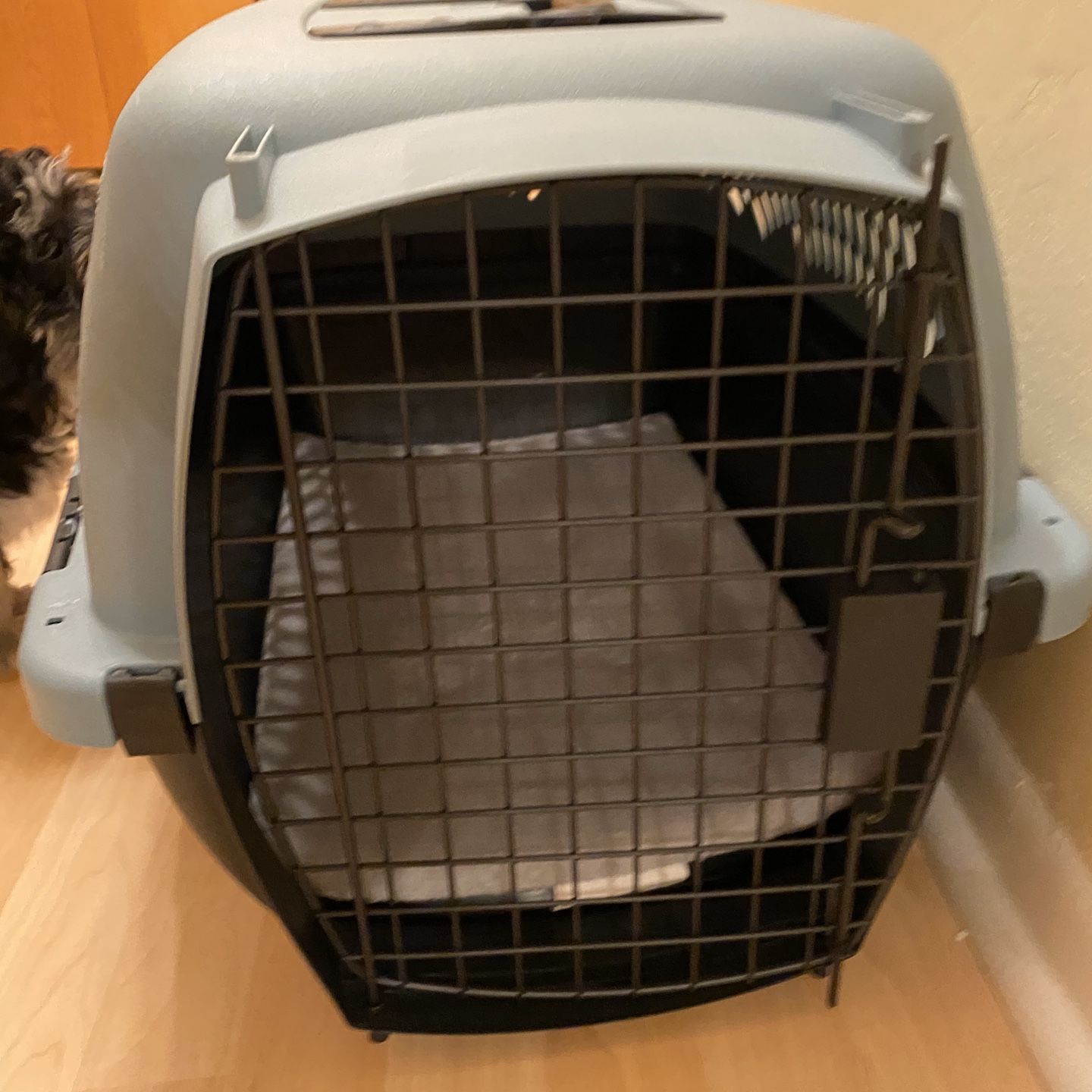 Small Dog Beds And Medium Kennel