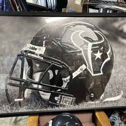 Texans Collectible 