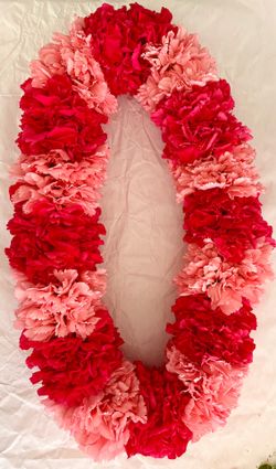 Two toned double carnation Lei