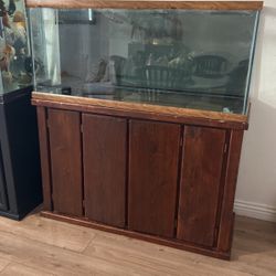 Fish Tank 