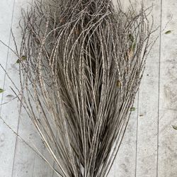 Date Palm Branches For Decoration