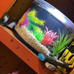 Home Fish Tank And Pump Filter 