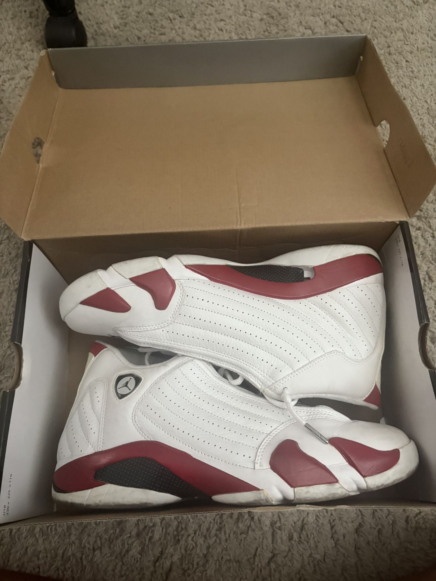 Jordan 14 Retro 2005