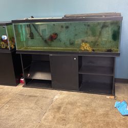 72” Fish tank For Sale 