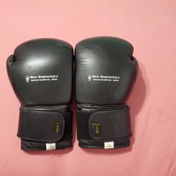 Training BOXING - KICKBOXiNG Gloves