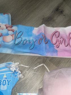 Gender Revel Decorations