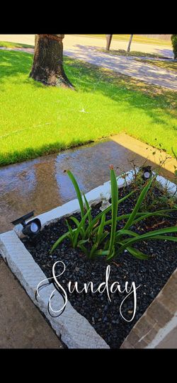 Led solar lights
