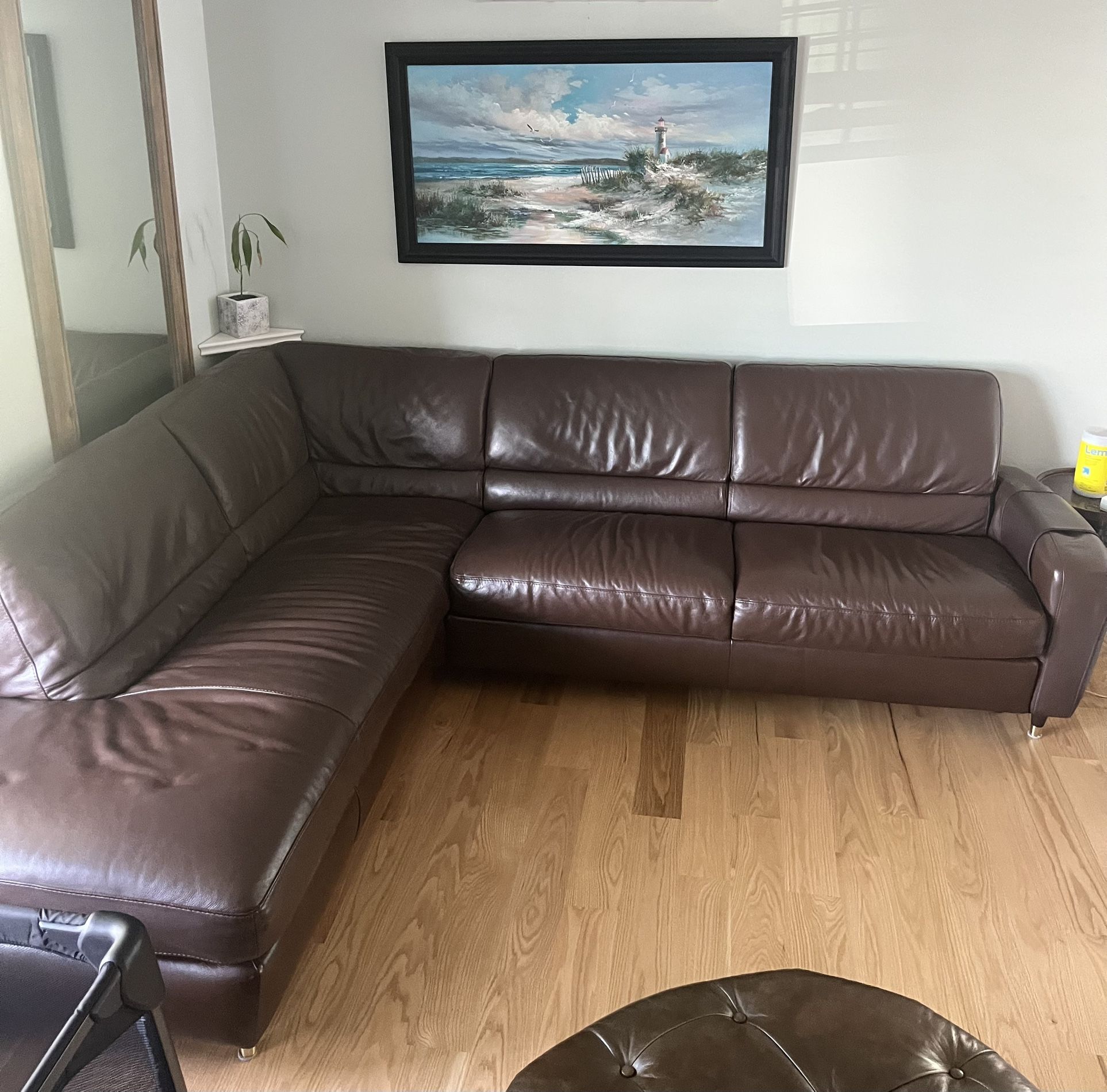 Full Grain Sectional Sofa Couch With Full Size Bed