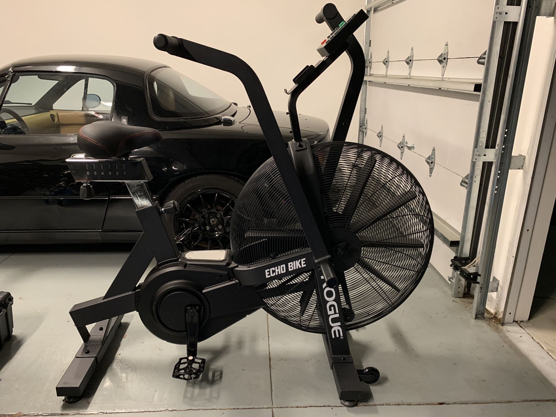 Rogue Echo Bike ®️