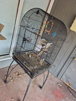 Bird cage