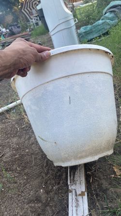 Large White planter
